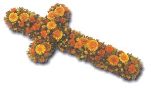 Apricot Cross